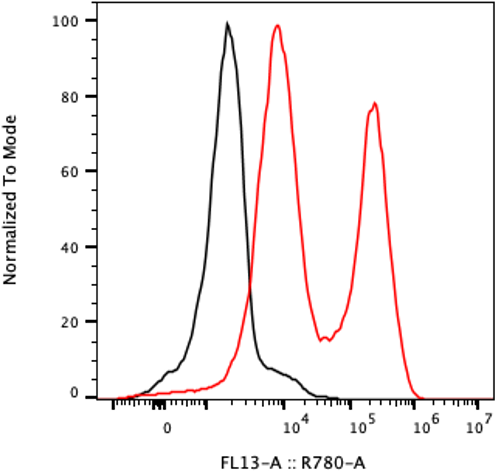 Rabbit-anti LYZ monoclonal antibody