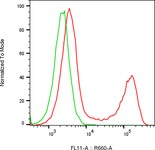 Rabbit-anti LYG1 monoclonal antibody