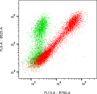 Rabbit-anti IL17-F monoclonal antibody