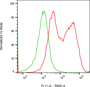 Rabbit-anti GDNF monoclonal antibody