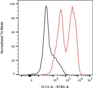 Rabbit-anti CGB5 monoclonal antibody