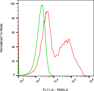 Rabbit-anti KERA monoclonal antibody