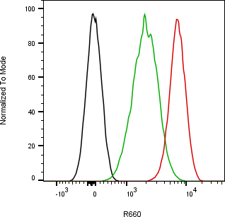 Rabbit-anti SCGB1A1 monoclonal antibody