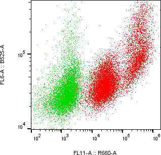 Rabbit-anti SLPI monoclonal antibody