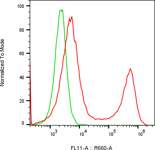 Rabbit-anti LYG1 monoclonal antibody