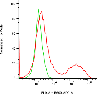Rabbit-anti GFRA2 monoclonal antibody