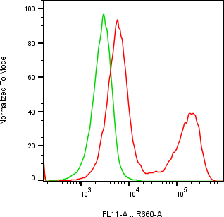 Rabbit-anti CTSO monoclonal antibody