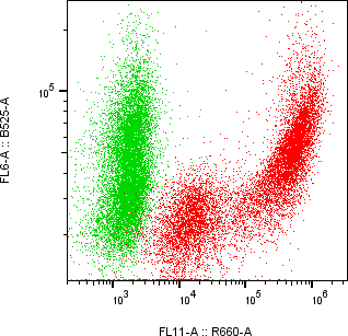 Rabbit-anti AGA monoclonal antibody