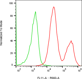 Rabbit-anti SLPI monoclonal antibody