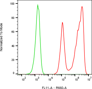 Rabbit-anti PI3 monoclonal antibody