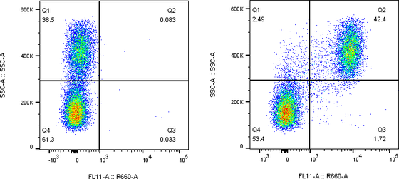 Rabbit-anti FCGR1A monoclonal antibody