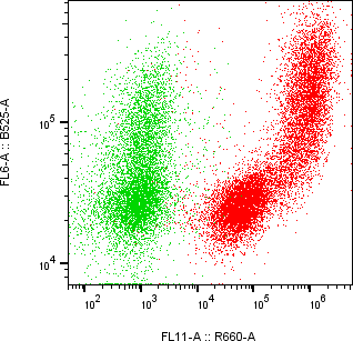 Rabbit-anti CST6 monoclonal antibody