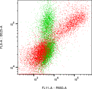 Rabbit-anti PSG5 monoclonal antibody