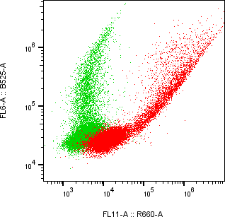 Rabbit-anti IL23R monoclonal antibody