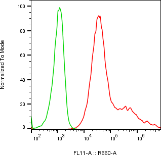 Rabbit-anti TNFRSF1B monoclonal antibody