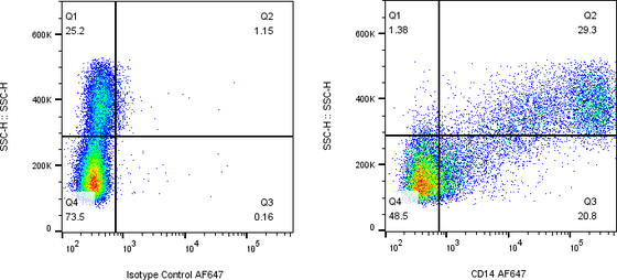 Rabbit-anti CD14 monoclonal antibody