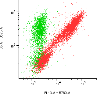 Rabbit-anti VTN monoclonal antibody