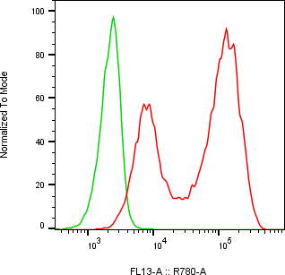 Rabbit-anti VTN monoclonal antibody