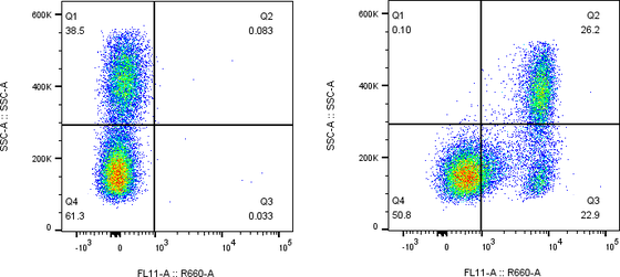 Rabbit-anti IL10RB monoclonal antibody