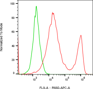 Rabbit-anti GFRA2 monoclonal antibody