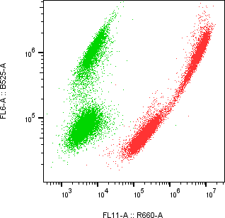 Rabbit-anti IFNA21 monoclonal antibody