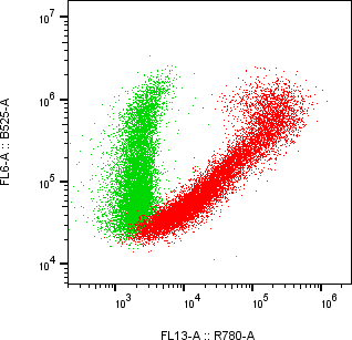 Rabbit-anti KIR2DL3 monoclonal antibody