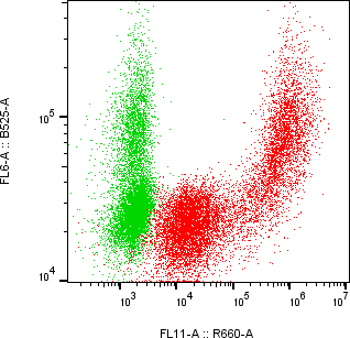 Rabbit-anti AVP monoclonal antibody