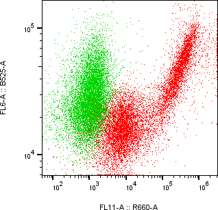 Rabbit-anti APOA4 monoclonal antibody