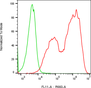 Rabbit-anti GNRH1 monoclonal antibody