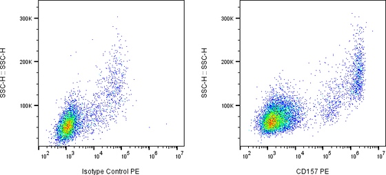 Rabbit-anti BST1 monoclonal antibody