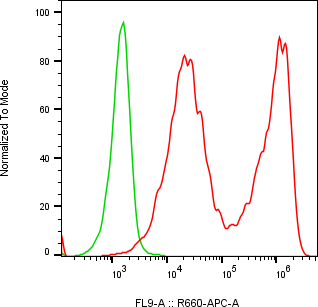 Rabbit-anti CPVL monoclonal antibody