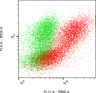 Rabbit-anti PLAU monoclonal antibody