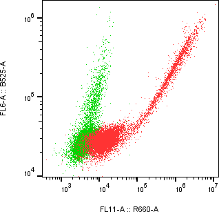 Rabbit-anti CDH13 monoclonal antibody