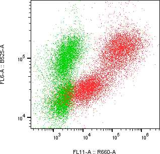 Rabbit-anti CGB3 monoclonal antibody