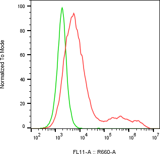 Rabbit-anti IL-6 monoclonal antibody