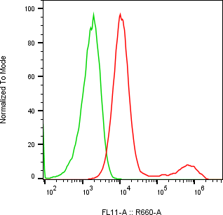 Rabbit-anti SERPINF2 monoclonal antibody
