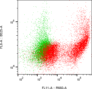 Rabbit-anti KERA monoclonal antibody