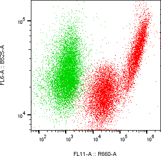 Rabbit-anti APOA4 monoclonal antibody