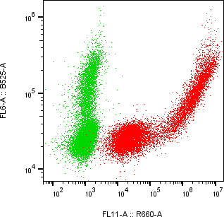 Rabbit-anti VSIG2 monoclonal antibody
