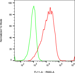 Rabbit-anti ERBB4 monoclonal antibody