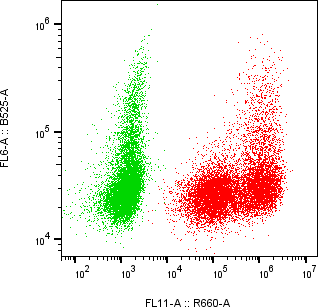 Rabbit-anti SPINK6 monoclonal antibody