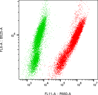 Rabbit-anti sclerostin monoclonal antibody