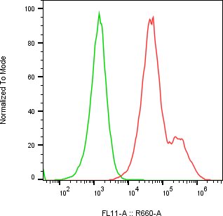 Rabbit-anti CEACAM6 monoclonal antibody