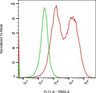 Rabbit-anti CGB3 monoclonal antibody