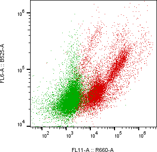 Rabbit-anti SLPI monoclonal antibody