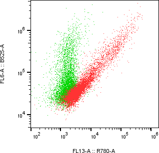 Rabbit-anti CSF3R monoclonal antibody