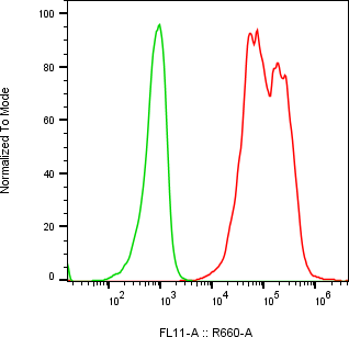 Rabbit-anti PRSS22 monoclonal antibody
