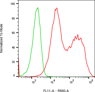 Rabbit-anti CTSE monoclonal antibody