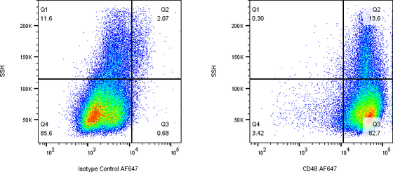 Rabbit-anti CD48 monoclonal antibody