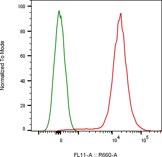 Rabbit-anti SELPLG monoclonal antibody